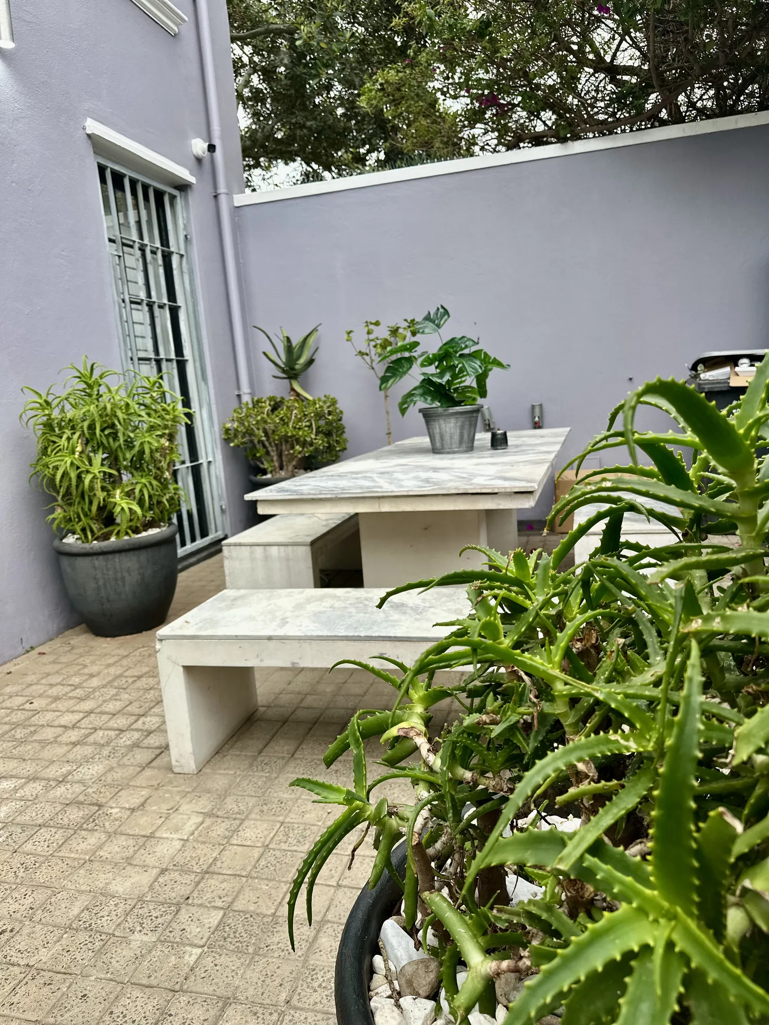 The courtyard at Casa Dias with a picnic table and potted plants